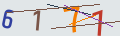 verifycode